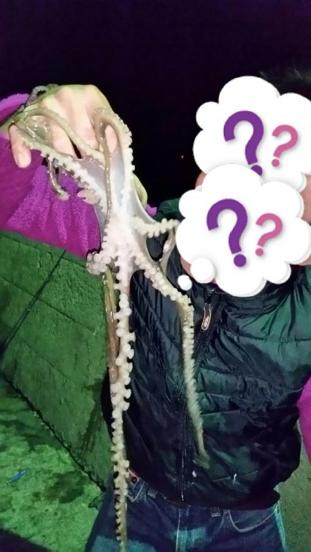 昨日に引き続きゲット！